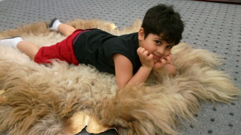 Laith